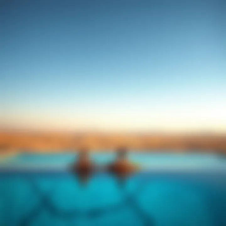Couples relaxing by a serene infinity pool overlooking the desert landscape.