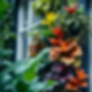 Close-up of diverse plants flourishing in a vertical garden structure.