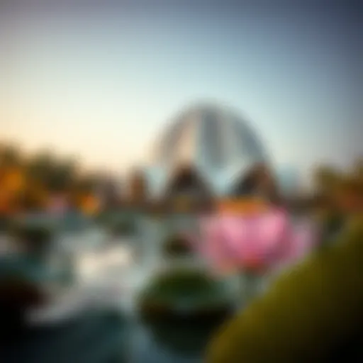 Exploring the Dubai Lagoon Lotus: A Comprehensive Overview Introduction