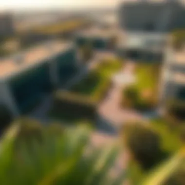 Aerial view of the school's campus with green spaces