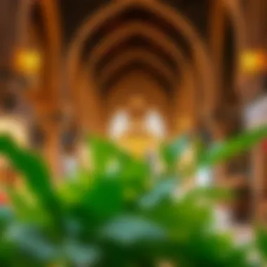 Architectural Splendor of Dubai's Bazaars Architectural features of traditional bazaars