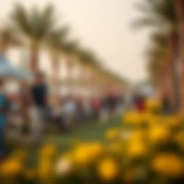 Community events held in the park