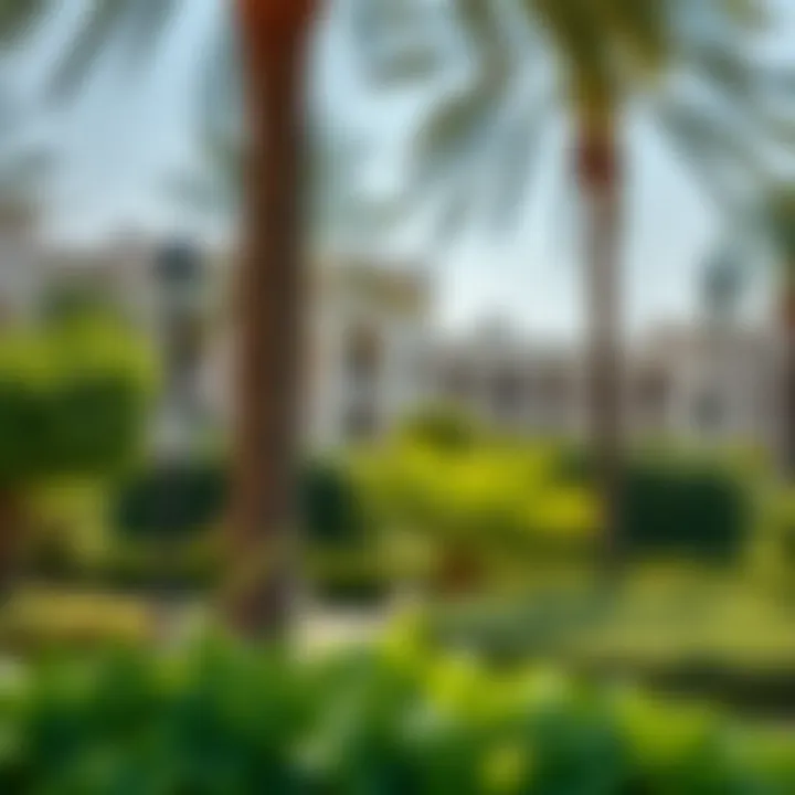 Lush greenery of Umm Al Emarat Park