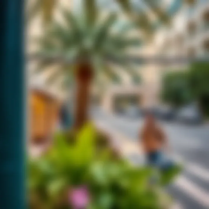 Discovering Local Gems in JVC Local attractions around Jumeirah Village Circle