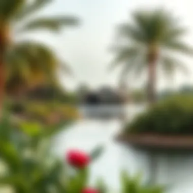 Surrounding landscape of Love Lake Al Qudra featuring lush vegetation