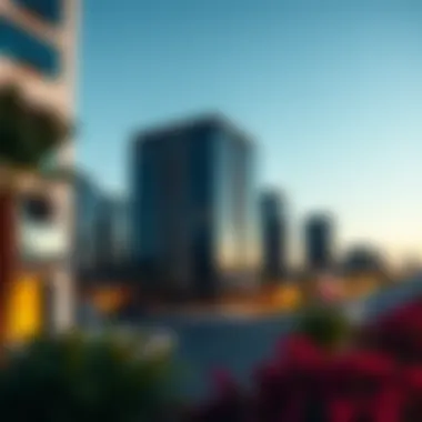 Meydan South: An In-Depth Exploration of a Growing Community Summary