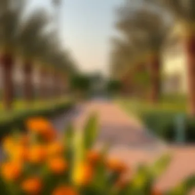 Scenic pathways and outdoor areas in Nad Al Sheba Gardens
