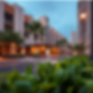 Amenities Enhancing Living Near the Metro Local amenities near the metro station