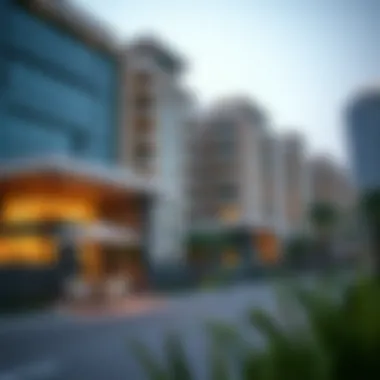 Navigating the Residency Visa Application Application process for residency visas