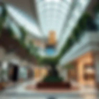 Sustainable architecture and design elements of the mall