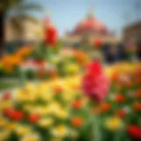 Vibrant floral display at Dubai's Flower Garden