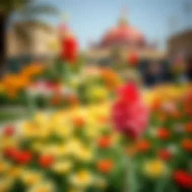 Vibrant Floral Display in Dubai's Flower Garden Vibrant floral display at Dubai's Flower Garden