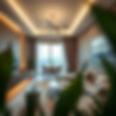 Modern Apartment Showcasing Rental Options Modern apartment showcasing rental options