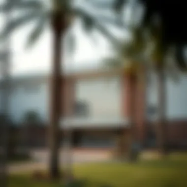 Educational institutions in Dubai