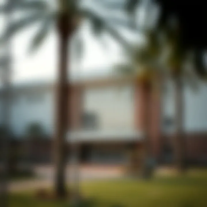Educational institutions in Dubai