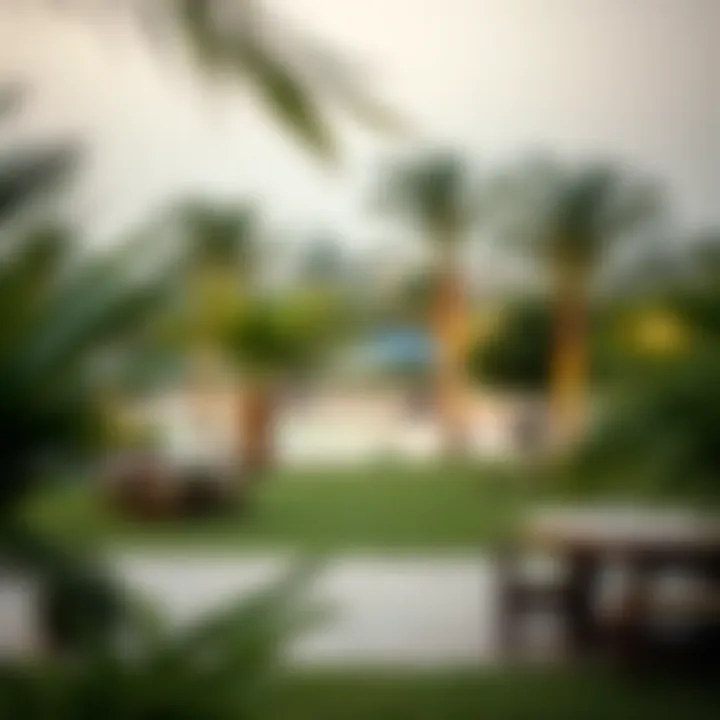 Community gathering area in Al Reem Central Park