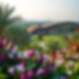 Panoramic view of Al Reem Central Park showcasing its lush greenery