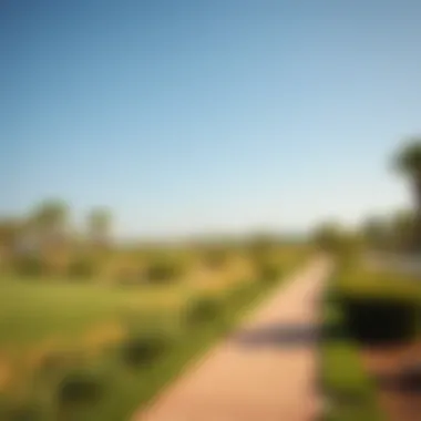 Scenic Walking Trails in Al Reem Central Park Walking trails and scenic paths in Al Reem Central Park